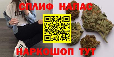 apvp Дубна