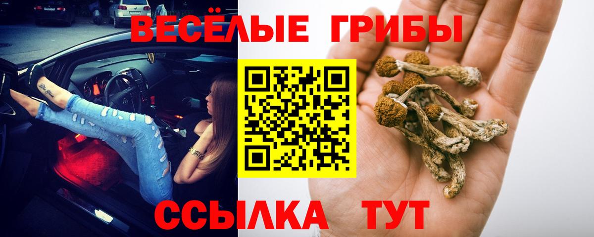 Лянтор  Псилоцибиновые грибы мицелий  Галлюциногенные грибы MAGIC MUSHROOMS  Вход с VPN 